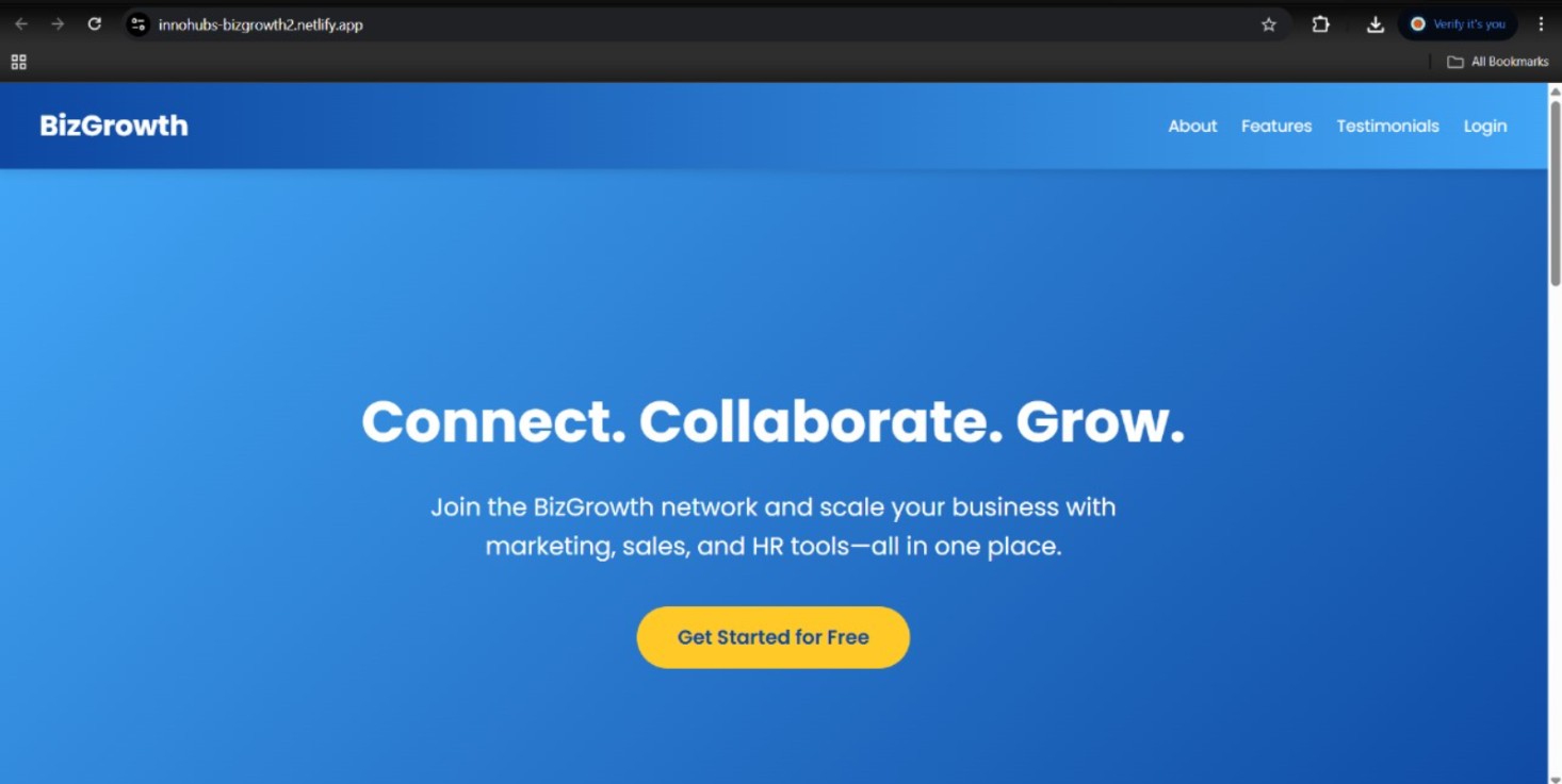 BizGrowth Website Screenshot